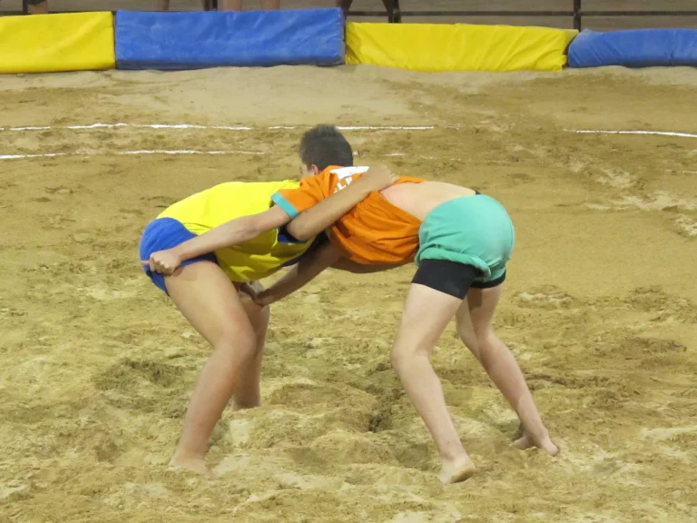 Calendario de competencia de lucha canaria por isla